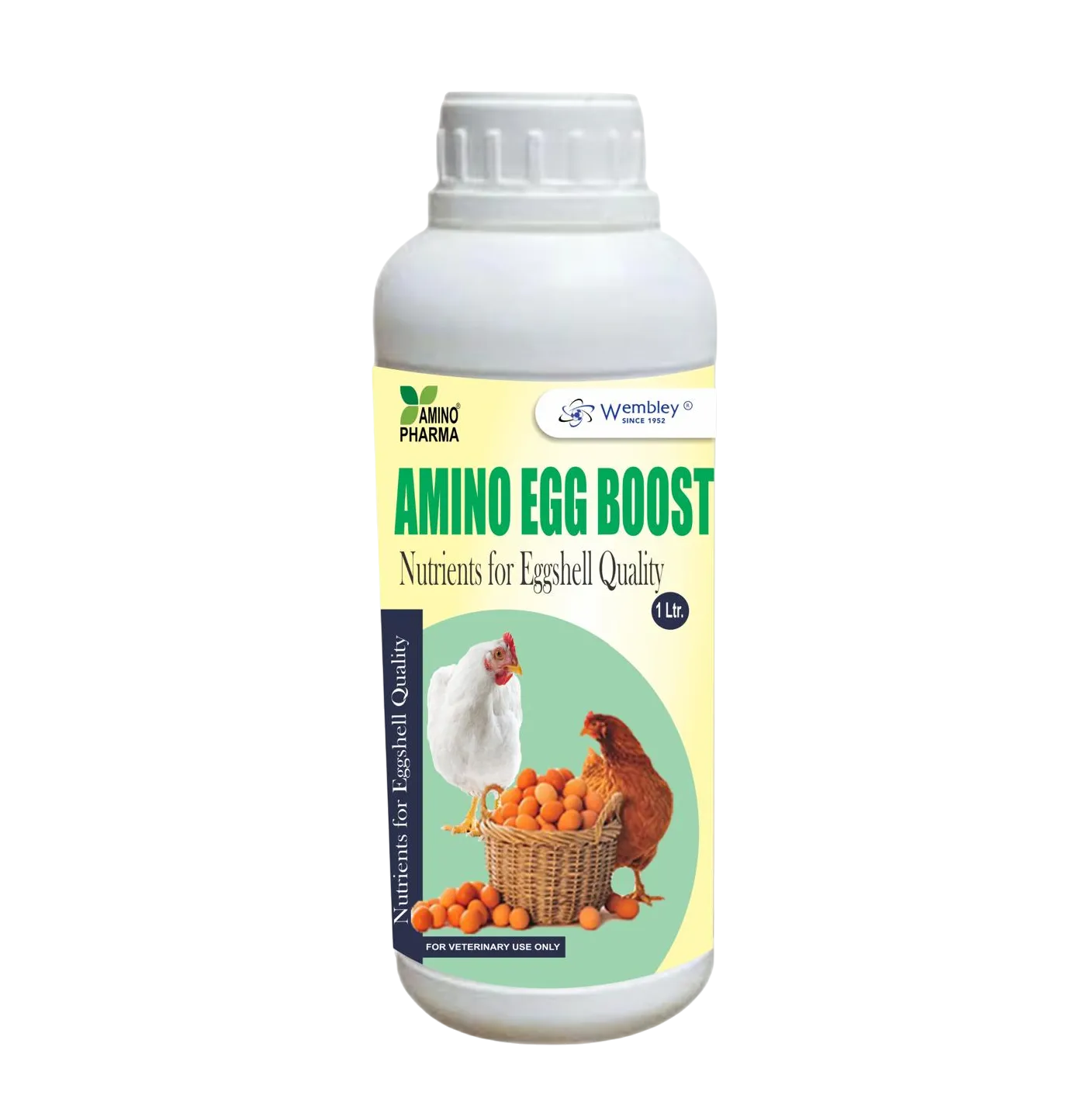 AMINO EGG BOOSTER